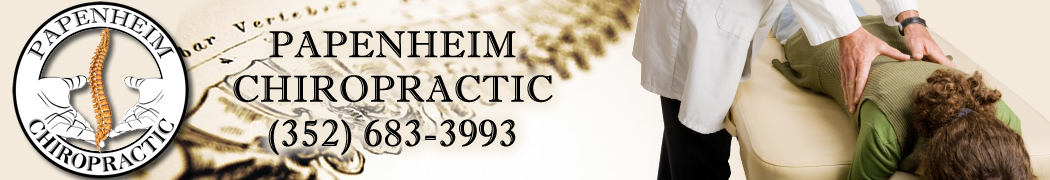 Chiropractor Spring Hill Florida Chiropractic Papenheim
